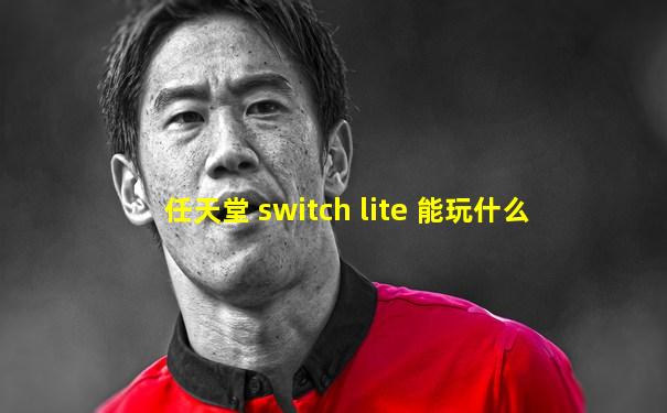 任天堂 switch lite 能玩什么